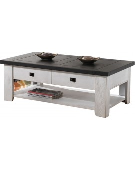 Table basse bicolore