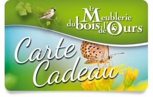 
			                        			Carte Cadeau Papillon